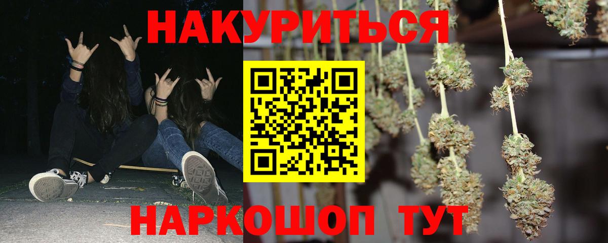 Бошки Шишки планчик Назрань
